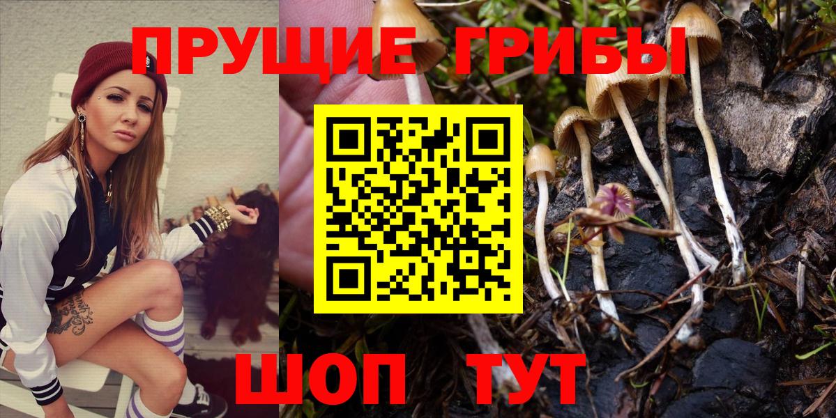 Псилоцибиновые грибы прущие грибы Бердск
